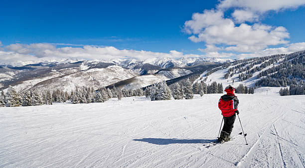 istock Female Skier Standing with Rocky Mountains in Background 461270727