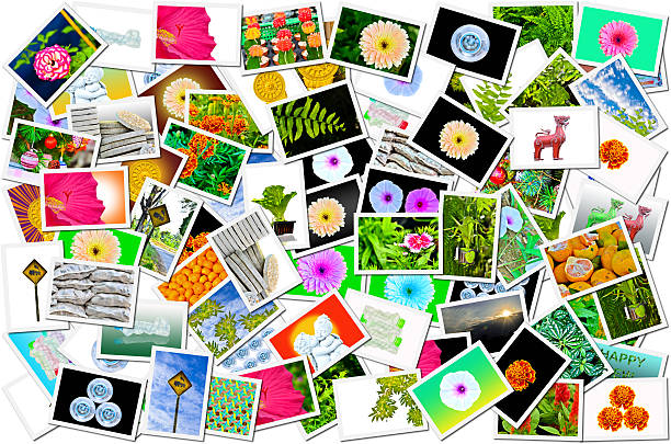 istock lot of photos 461273171