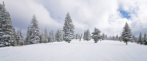 istock Winter Coniferous Forest Covered by Snow with Skiing Slopes 461280441