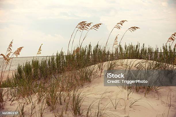 Insel Weizen Stockfoto und mehr Bilder von Strand - Strand, Abgeschiedenheit, Bildhintergrund
