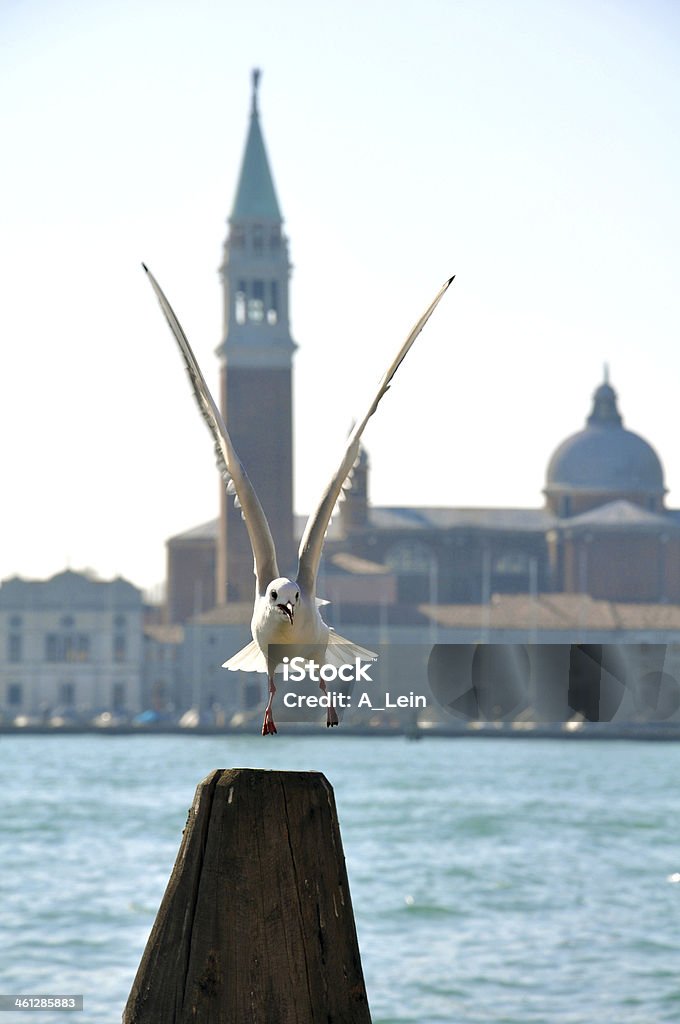 Glockenturm des St. Giorgio Maggiore - Lizenzfrei Adriatisches Meer Stock-Foto