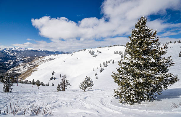 istock Forest Covered by Snow with Skiing Slopes and Rocky Mountains 461293755