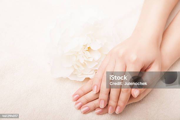 Beautiful Manicured Hands Laying Next To A Flower Stock Photo - Download Image Now - Adult, Alternative Therapy, Animal