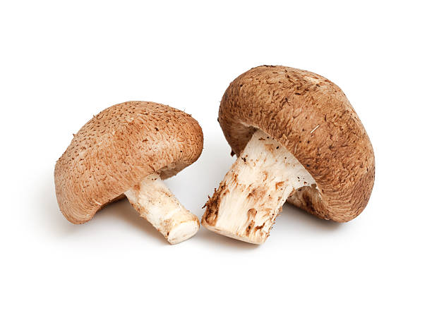 istock Mushrooms isolated on white background 461299045