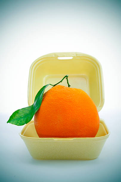 istock fast fruit, an orange in a foam food container 461301359