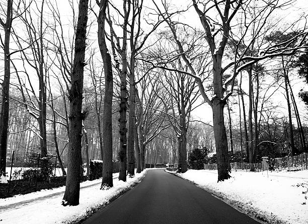 istock Winter urban road 461304039