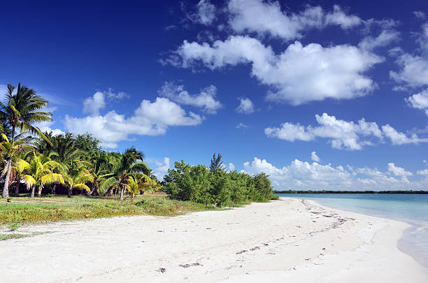 caribbean spiaggia - varadero beach foto e immagini stock