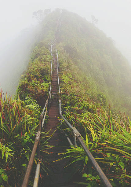 Foggy Mountain Ridge szlaku turystycznego kroki – zdjęcie