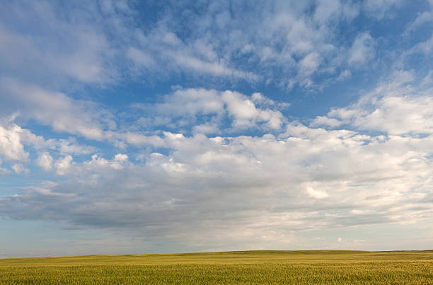 istock A vast cloudy prairie sky over an empty wheat field. 461310511
