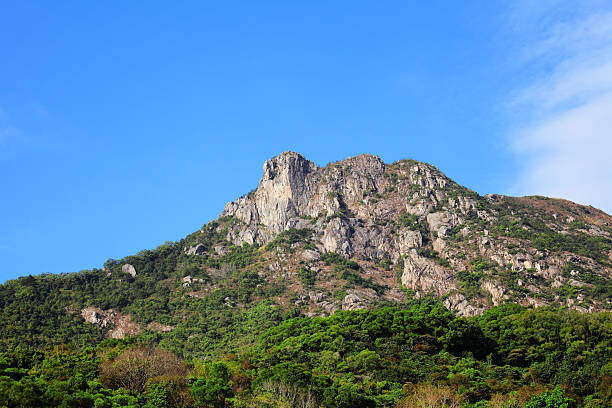 istock Lion Rock in Hong Kong 461762987