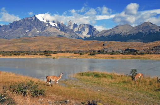 Parque Nacional de Torres Del Paine, Patagonia, Chile photo