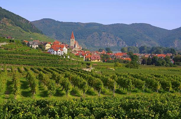 istock Weissenkirchen in Wachau 461778537