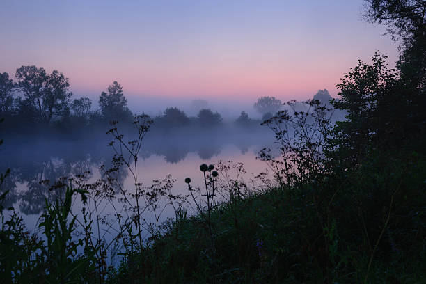 Morning mist on river stock photo