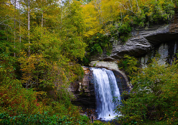 Looking Glass Falls stock photo