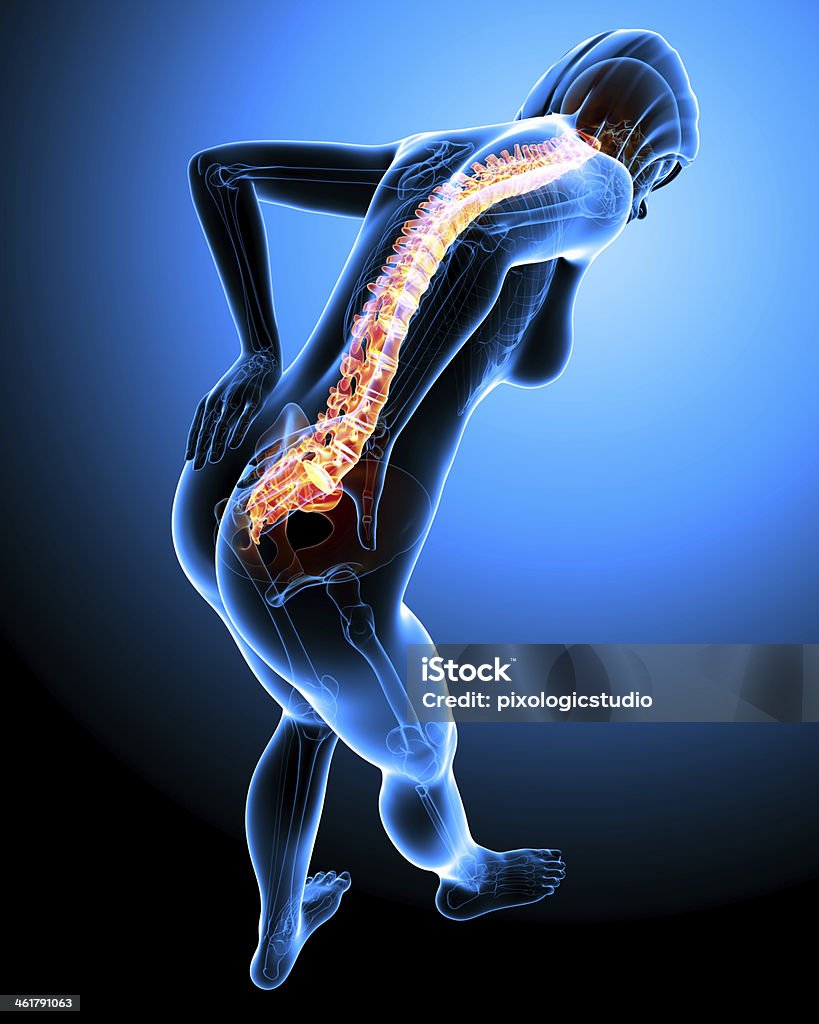 female back pain anatomy in black Illustration of female back pain anatomy in black Adult Stock Photo
