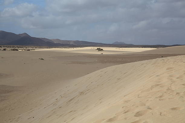 Dunas de areia em Fuerteventura - foto de acervo
