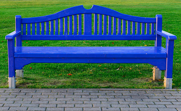 istock Blue wooden bench on the green grass 461796701