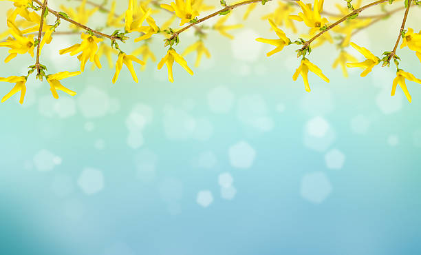istock Postcard with elegant  flowers and empty  place for your text 461797751