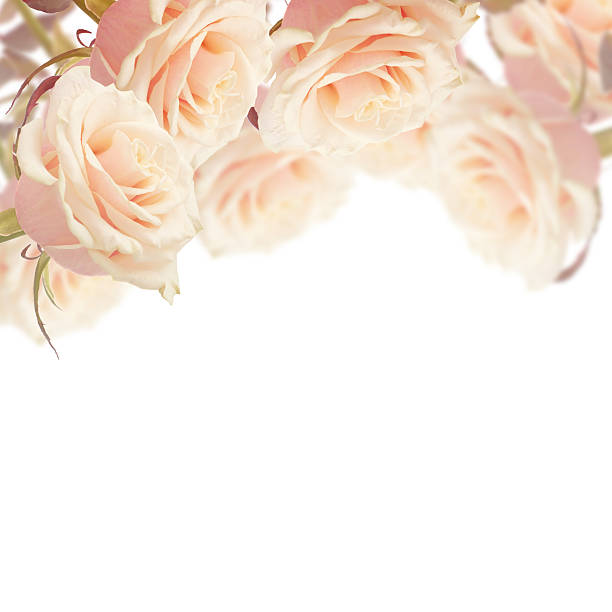 istock Postcard with elegant  flowers 461802081