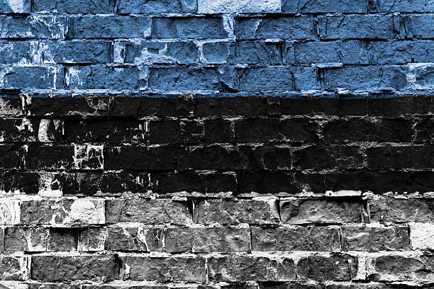 istock Flag of Estonia painted on brick wall 461806501
