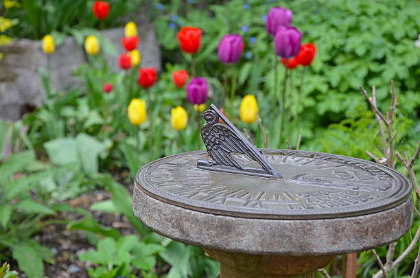 istock Sundial in tulip garden 461807473