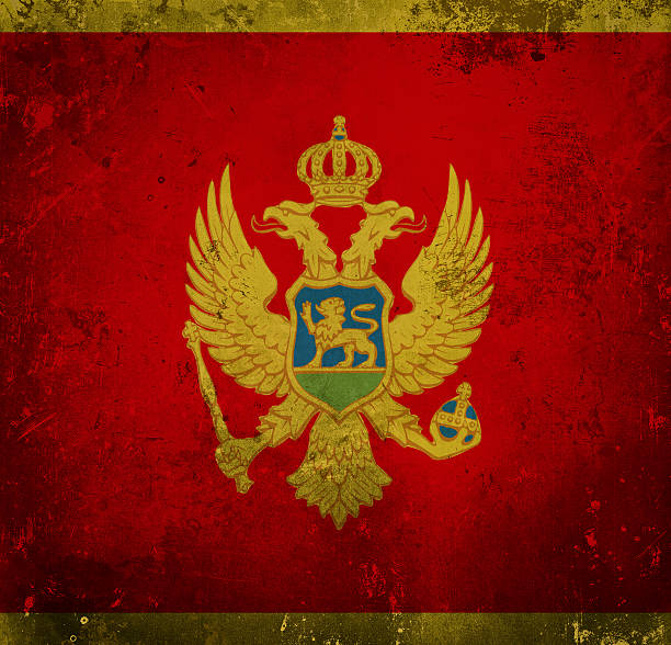 istock Grunge flag of Montenegro 461838951