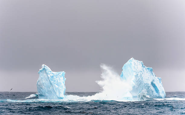 istock Nature of South Atlantic 461844977