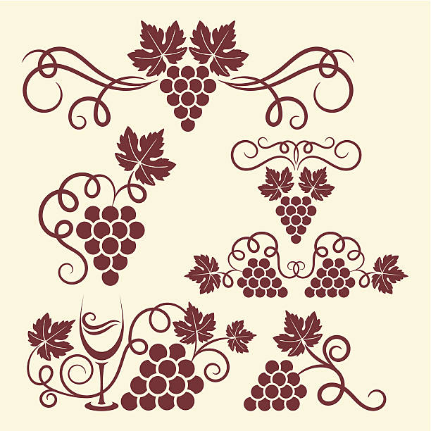 ilustrações de stock, clip art, desenhos animados e ícones de elementos de uva vermelha - vineyard ripe crop vine