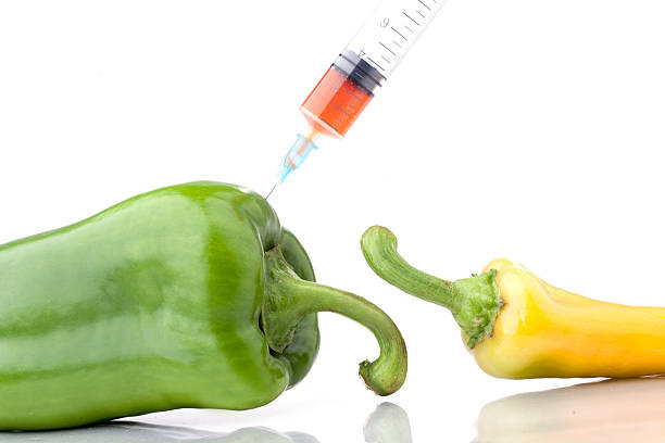 conceito de ogm. - injecting healthy eating laboratory dna imagens e fotografias de stock