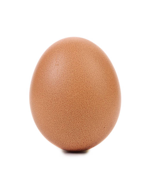 istock Close up of brown egg. 461851767