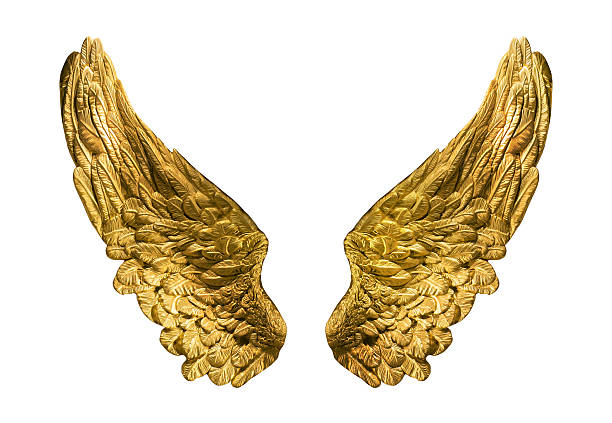 asas de ouro - artificial wing fotos imagens e fotografias de stock