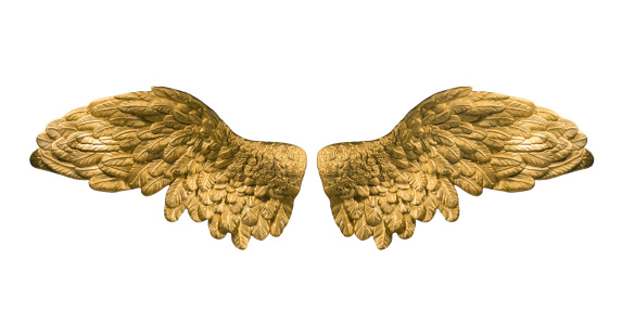 raster version of golden wings