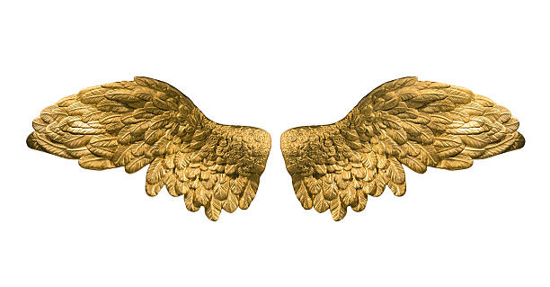 raster version of golden wings stock photo