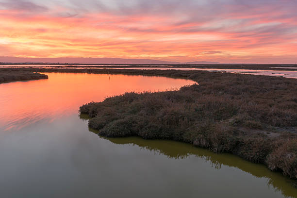 istock Sunset at Don Edwards National Wildlife Refuge 461860405
