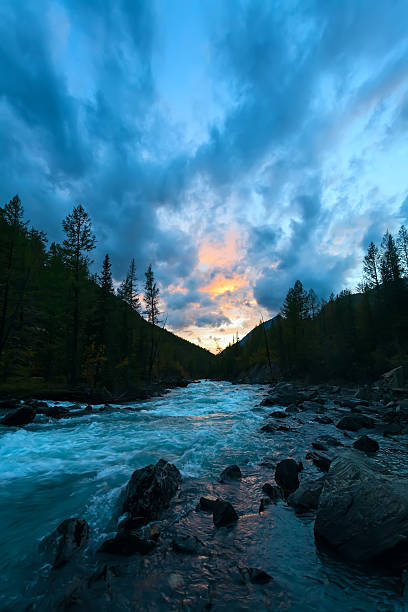 istock river wood  sunset silhouette 461863181
