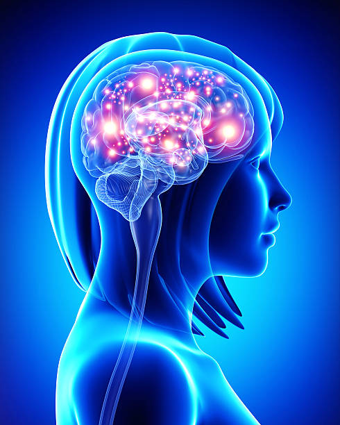 istock 3d art illustration of female active brain 461868271