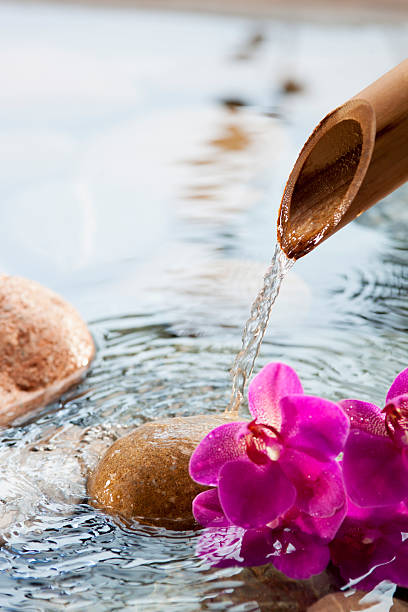 istock source of soothing water and femininity 461871479