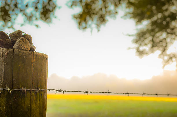 Close up of a barbed wire fence with an open field in background