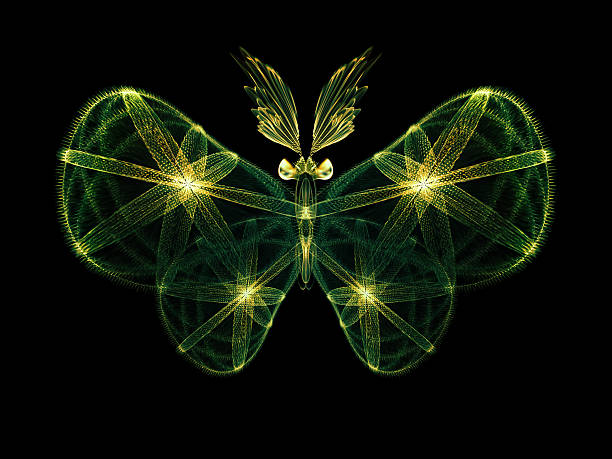 istock In Search of Butterfly 461877471