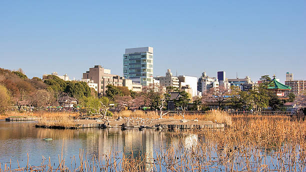 istock Ueno park, Tokyo, Japan 461879471