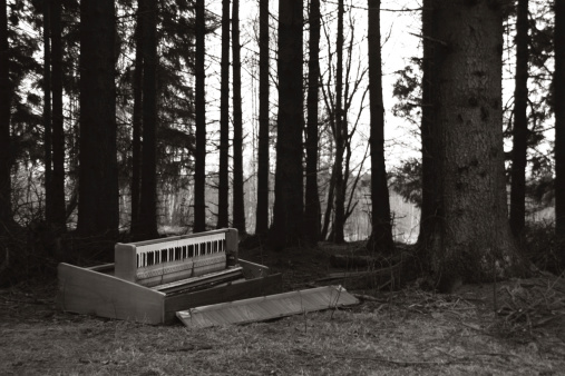Abandoned Piano in the forrest