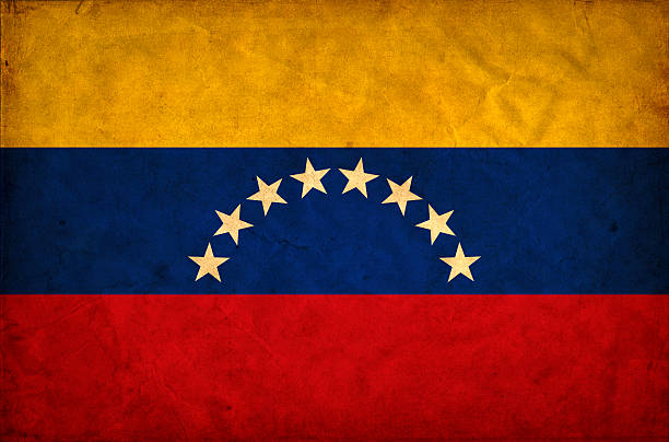istock Venezuela grunge flag 461881317