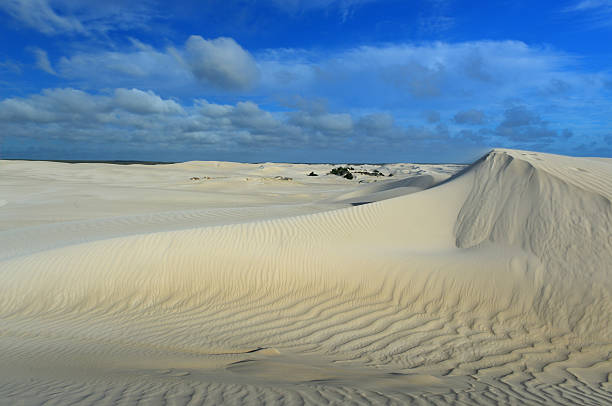 istock White sand dunes of Nilgen Nature Reserve 461881515
