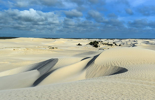 istock White sand dunes of Nilgen Nature Reserve 461881523