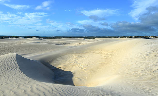 istock White sand dunes of Nilgen Nature Reserve 461881733