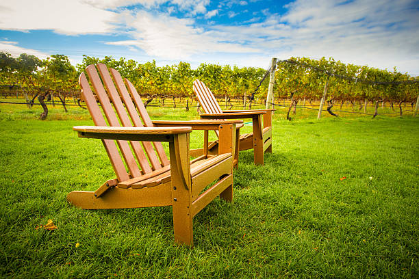 stühle in vineyard - vineyard in a row crop california stock-fotos und bilder