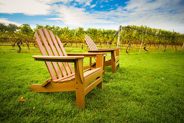 椅子のブドウ園 - vineyard in a row crop california ストックフォトと画像