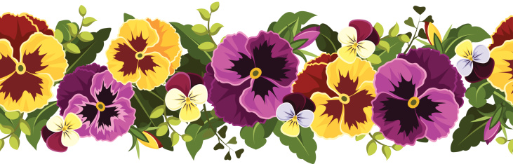 Vector horizontal seamless background with yellow and purple pansy flowers and green leaves.