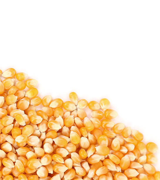 istock Closeup of corn grains. 461889033