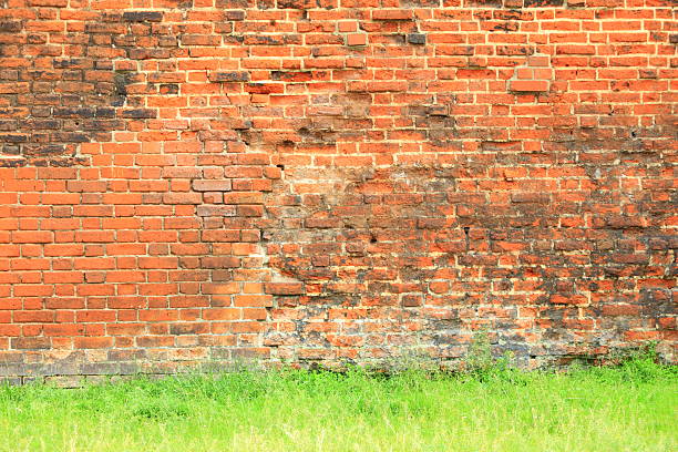 istock Grungy background of a brick wall texture 461891871